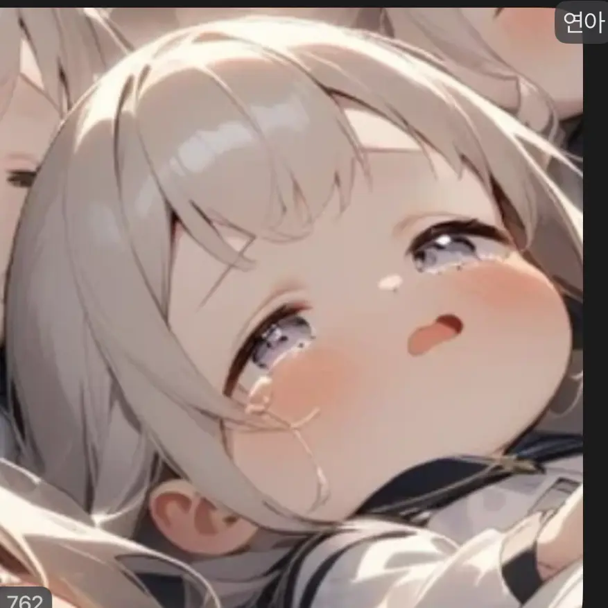 DenseSnore1154의 연아