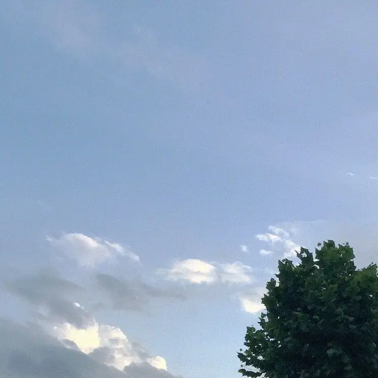 KindBison0580의 부자친구(고등학교)