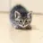 ミニャ