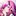 りこ
