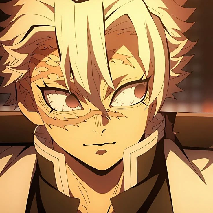 시나즈가와 사네미