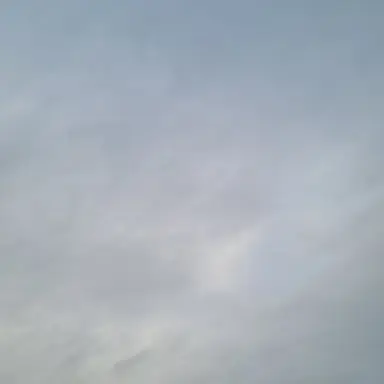 Profile image of 유저