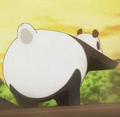 Profile image of Panda