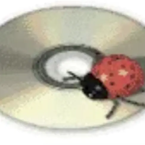 MiniVeery1146의 Dragon love