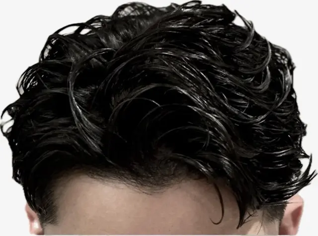 Profile image of Rex