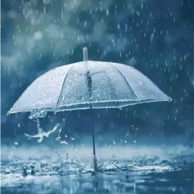 Profile image of 문서연