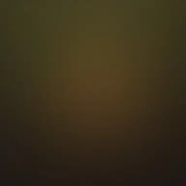 Profile image of 사후루