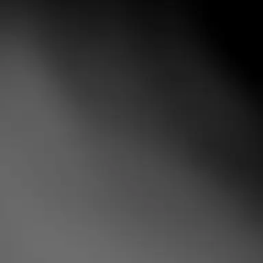 Profile image of 한지 조에