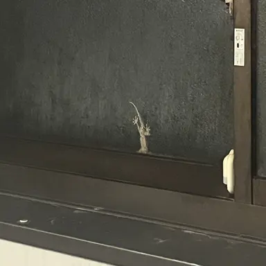 Profile image of Kosuke Kyogoku