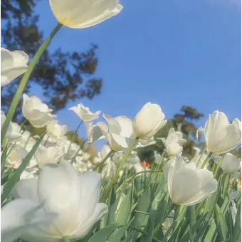 Profile image of 은소올