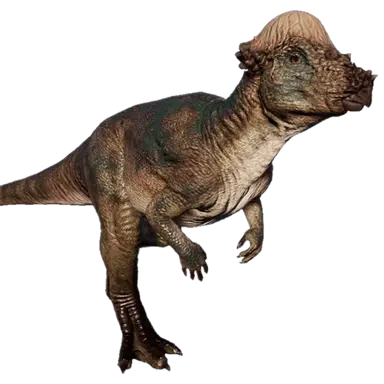 Profile image of 파키케팔로 사우루스
