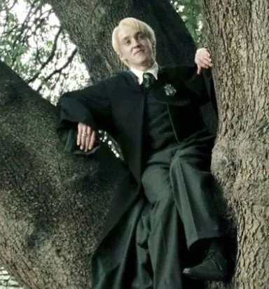 Profile image of Draco Malfoy