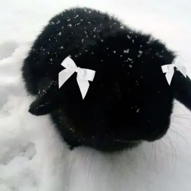 Profile image of サンウォン