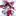 幻想郷に転移！？