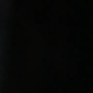 Profile image of 한촉법