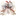 로마