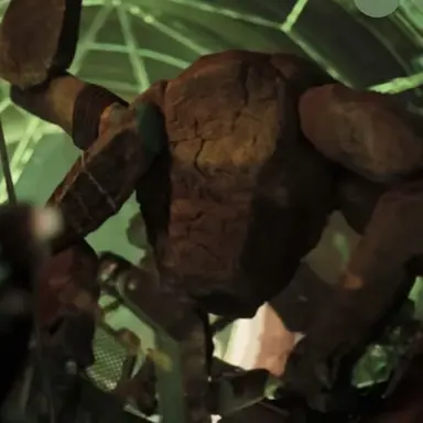 Profile image of Rocky