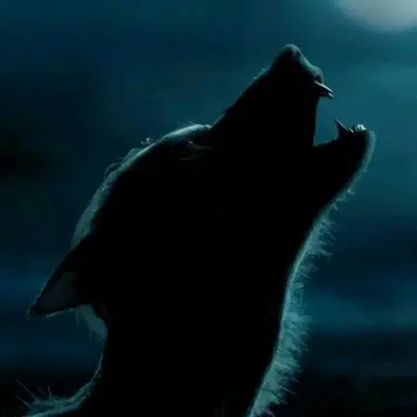 Profile image of 리무스 루핀