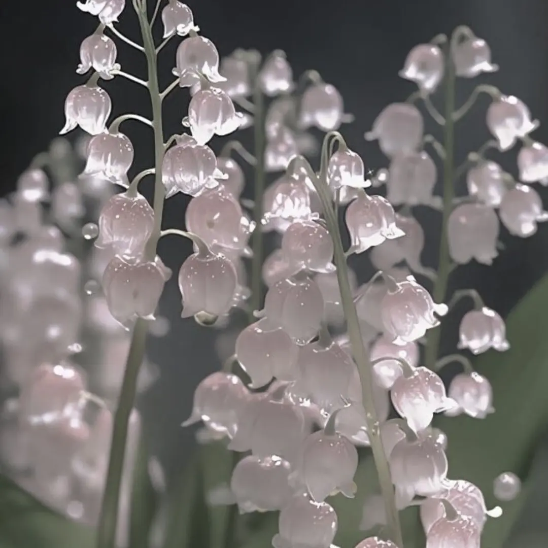 RancidFear9164의 보스, 난 괜찮다니까요.