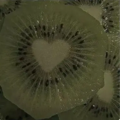 Profile image of 金吾