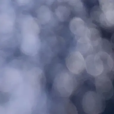 Profile image of 하이리