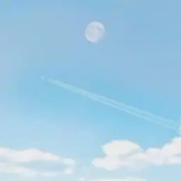 kun2359의 변태 단톡방