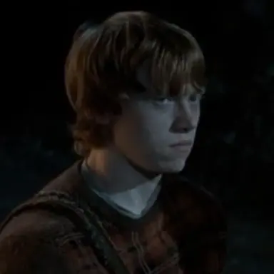 Profile image of Ron