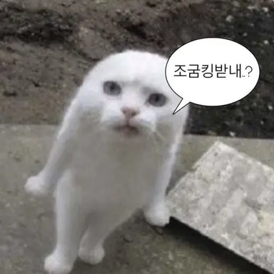 Profile image of 유이카 후리 메이드