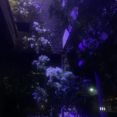 Profile image of 渡会雲雀