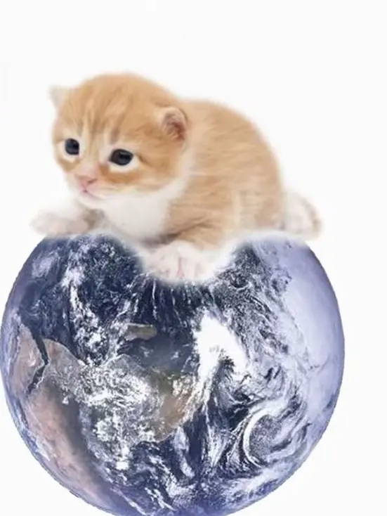 FrayedSalt7649의 不器用な愛（テスト）