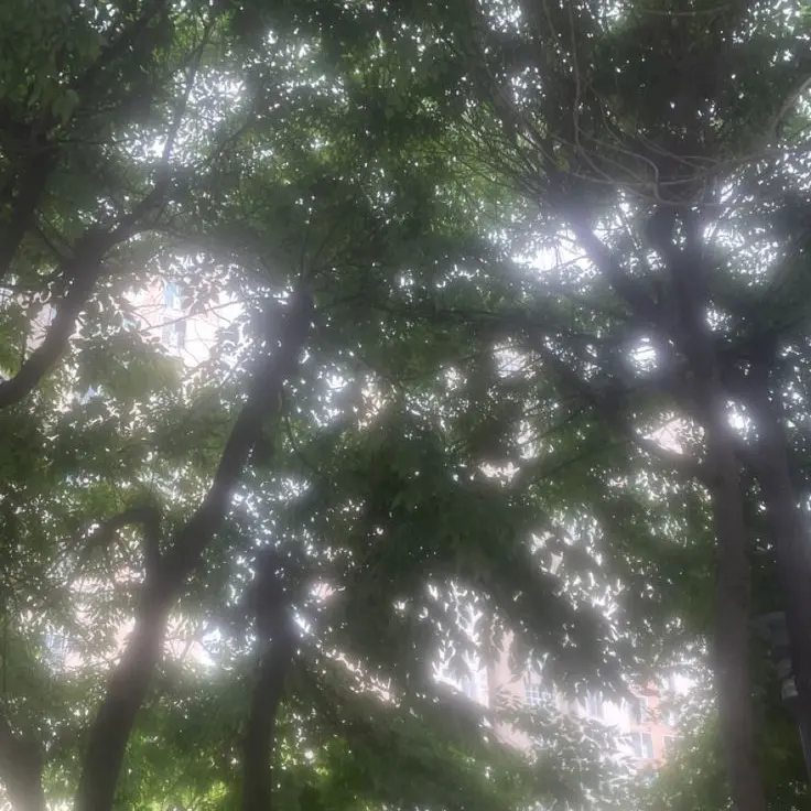 YoungBaiji8506의 천량의 왕 과 1세대의 전설