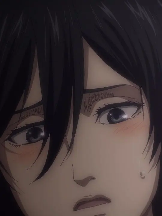 AmusedPunch9811의 ミカサが大人の姿と少女の姿で二人になる話