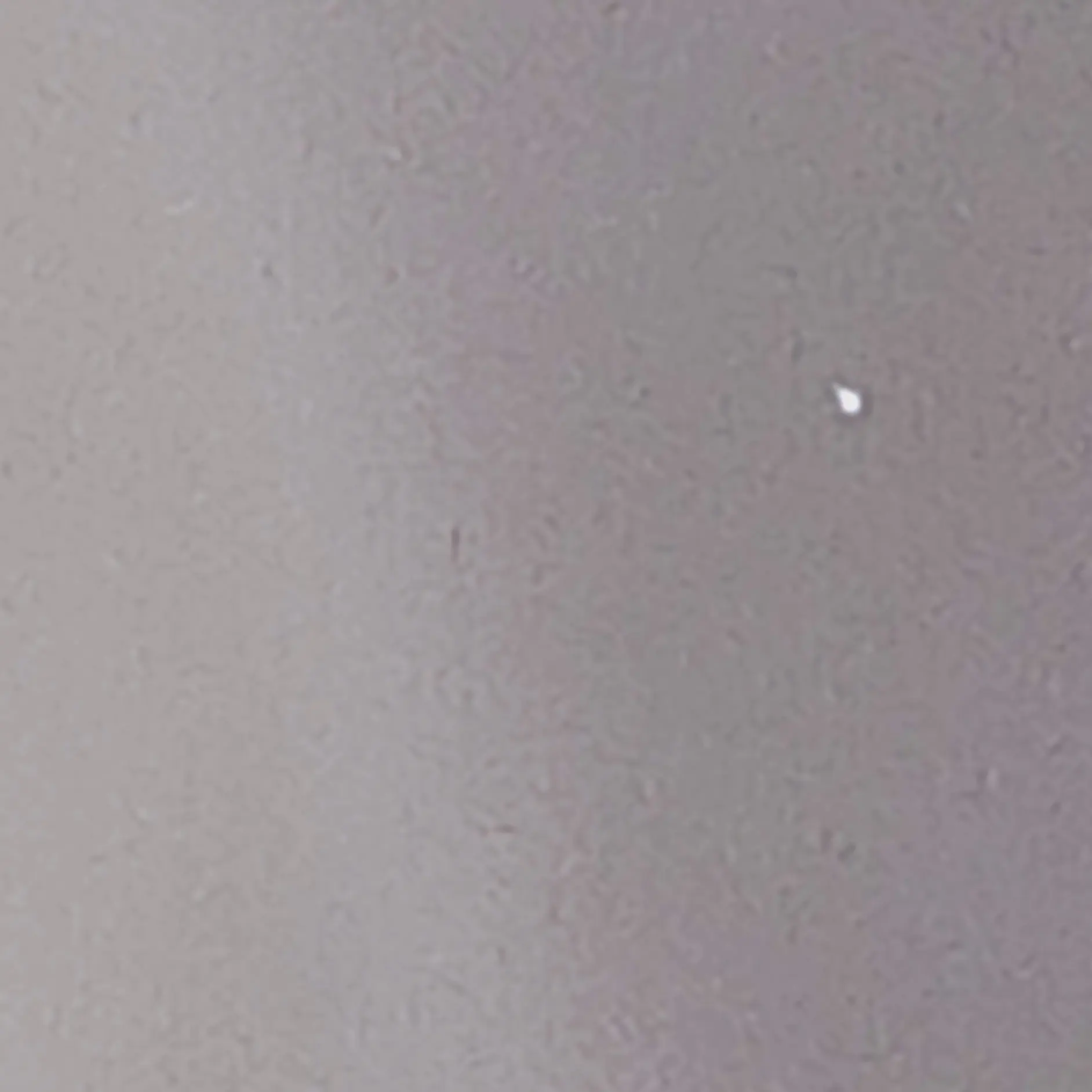 FancyPage7983의 라이벌에서고프이기고놀린흔한게임즈참교육