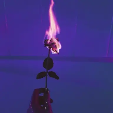 Profile image of 한노아