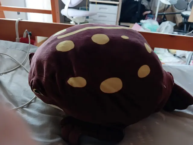 Profile image of カエル
