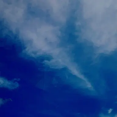 Profile image of 멜로우
