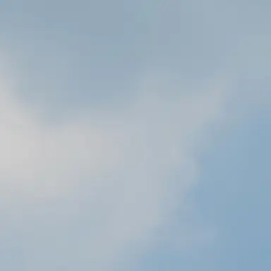 Profile image of 밥풀