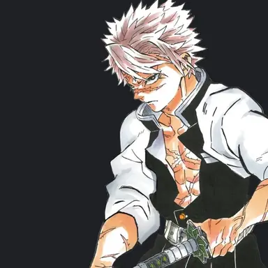 Profile image of 시나즈가와 사네미