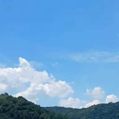 Profile image of 여우