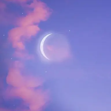 Profile image of 벨키