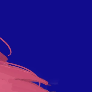 星導