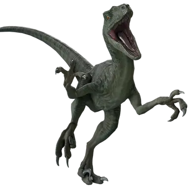 Profile image of Charlie