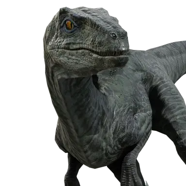 Profile image of Delta