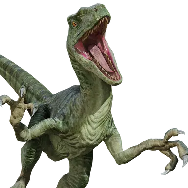 Profile image of Charlie