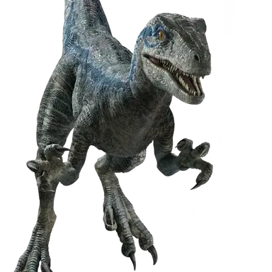 Profile image of Blue