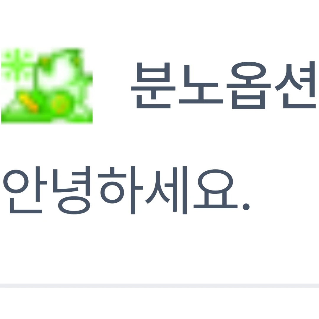 분노옵션