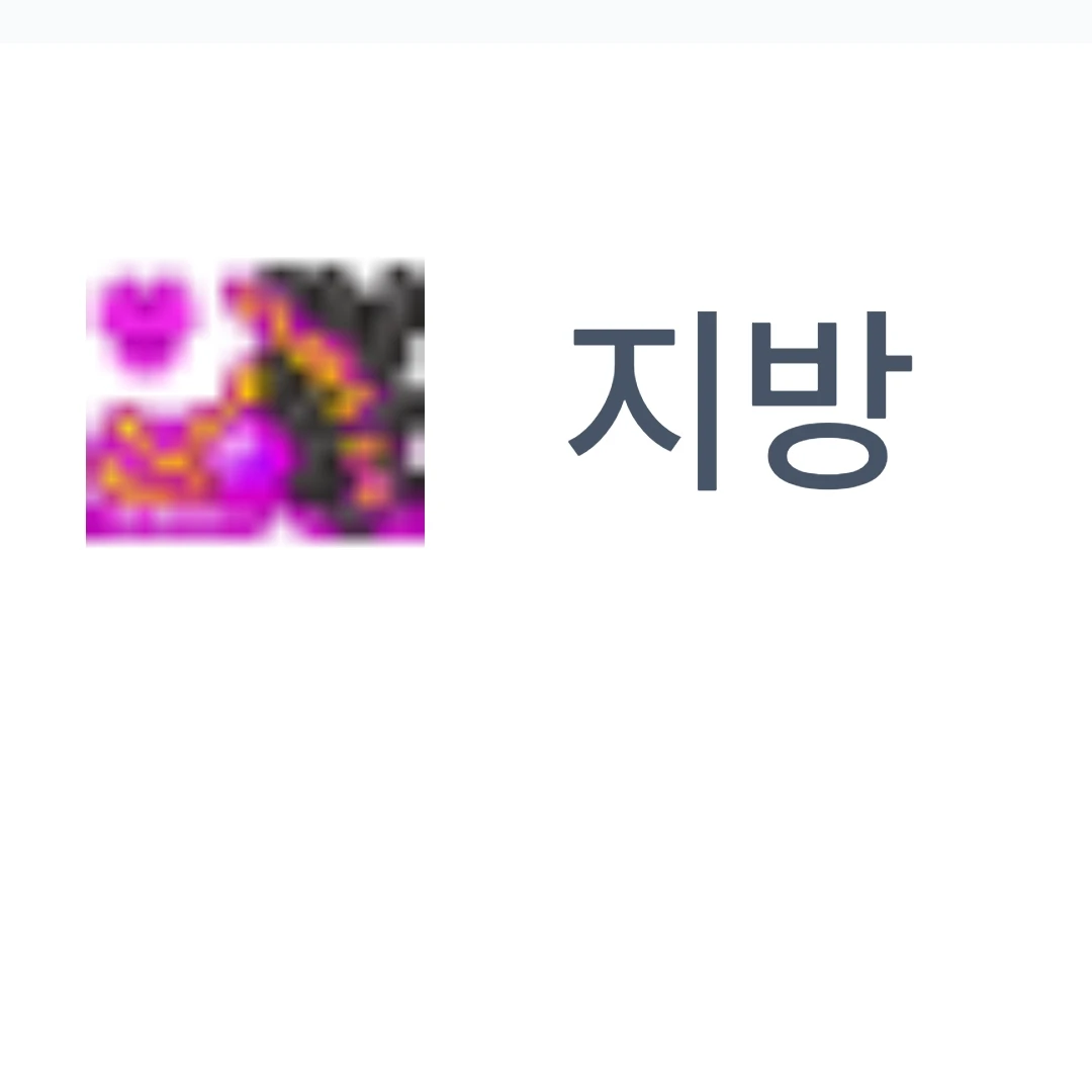 지방