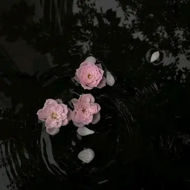 Profile image of 권지용