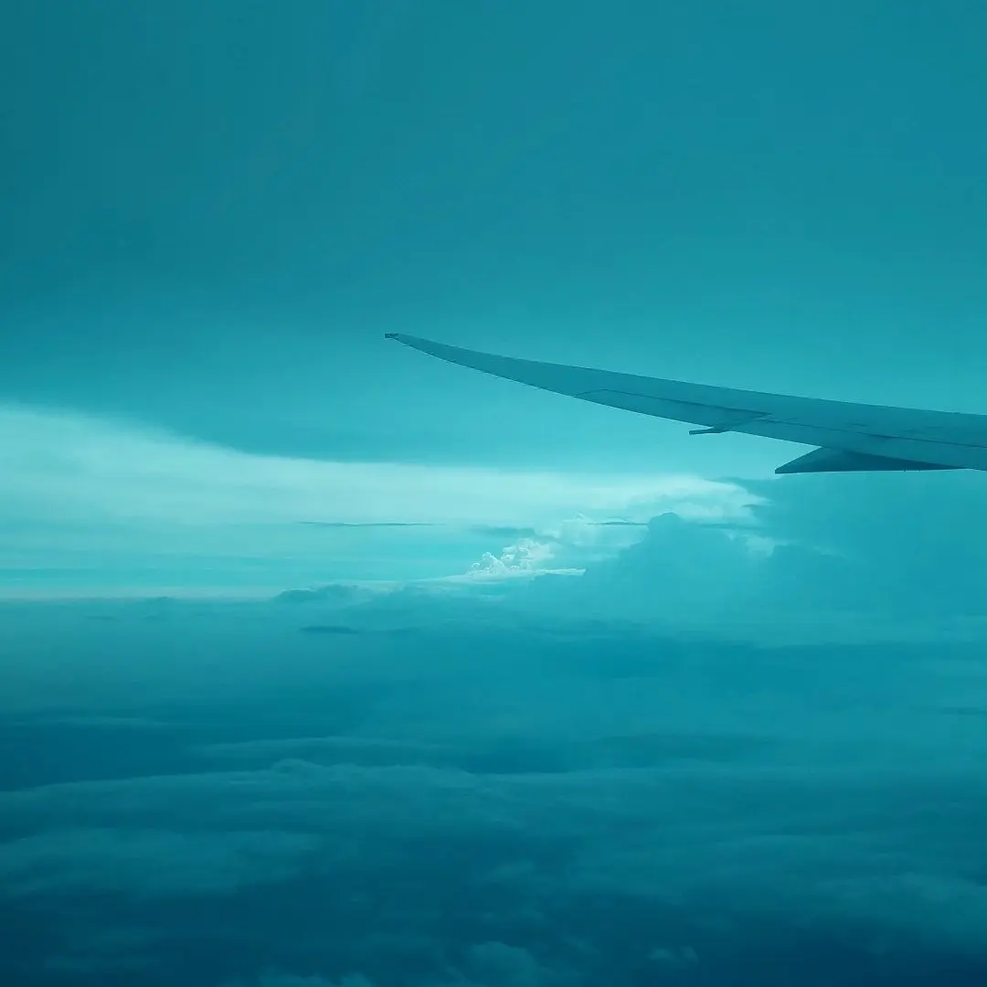 PointyRadio9285의 김길리