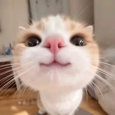 Profile image of 올망이